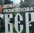 Педагог из Твери будет бороться за звание лучшего воспитателя года России - Газета Вся Тверь
