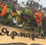 В Гатчине завершилась осенняя ярмарка - Гатчинская служба новостей