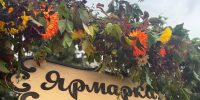 В Гатчине завершилась осенняя ярмарка - Гатчинская служба новостей