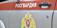 Росгвардейцы задержали биробиджанку за дебош в кафе - Время Биробиджана