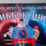 В Саянске состоялся "Кубок Иркутской области по кикбоксингу" - Администрация Саянска