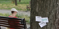 Молодые специалисты из Иванова назвали главные сложности при поиске работы - Известно.ру