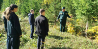 Юные лесоводы из Мамадыша посетили Кляушское лесничество - Мамадышский район