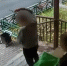 Вартовчанин ответит перед судом за кражу вещей из подъезда - ИД Новости Югры