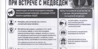 Памятка по безопасности при встрече с медведем - Город Зима