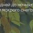 Поделитья во ВКонтакте - Братская Студия Телевидения