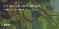 Поделитья во ВКонтакте - Братская Студия Телевидения