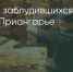 Поделитья во ВКонтакте - Братская Студия Телевидения