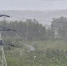Калуга-поиск - Kaluga-Poisk.Ru