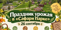 background - Kaluga-Poisk.Ru