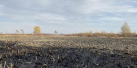 В Курской области из-за атак БПЛА за сутки повреждены дома, магазины, сгорело поле - Курские Известия