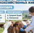 Важная информация для владельцев сельскохозяйственных животных. - Администрация Черемховского района