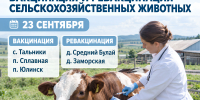 Важная информация для владельцев сельскохозяйственных животных. - Администрация Черемховского района