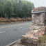 Стенка август.jpg - 1000inf.ru
