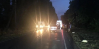 В Симферопольском районе автомобиль сбил подростка></div>
	<div class= - Вести.Севастополь