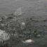 Добыча лосося на Дальнем Востоке. Архивное фото - Fishnews.Ru