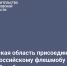 Ростовская область присоединилась ко Всероссийскому флешмобу #НеТотЗаработок - Администрация Ростовской области