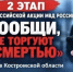 В Костромской области стартовал второй этап всероссийской акции «Сообщи, где торгуют смертью» - Газета Макарьевский вестник