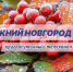 Программа передач телеканала “Нижний Новгород 24” на 22 сентября - ГТРК Нижний Новгород