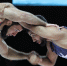 Звезды профессиональной борцовской лиги PWL анонсировали поединки на Сахалине - CitySakh.Ru