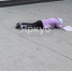 «Фиг его усмотришь!»: в Ярославле пенсионерка получила серьёзные травмы, запнувшись о «невидимый» трос - YarCube.Ru