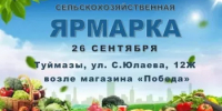 Уважаемые жители и гости Туймазинского района! - Администрация Туймазинского района