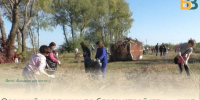 Осенний месячник по благоустройству в Саратовской области начнётся 1 октября - Балаковские вести
