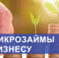 Бизнес из Чекмагушевского района получил господдержку на развитие производства - Чекмагушевский район