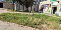 Предприятия потребительского рынка приводят в порядок входные группы и прилегающие территории - Администрация города