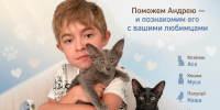 Костромичи и их хвостатые друзья смогут помочь Андрею Готовцеву - Северная правда