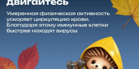 Защитить организм в сезон простуд помогают маленькие ежедневные привычки ✨ - Администрация г. Ейска