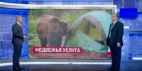 Численность медведей нужно контролировать, иначе ситуация будет усугубляться, - Сергей Иванов - Магаданская областная Дума