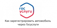 В Татарстане объяснили, как оформить авто через «Госуслуги» - Нурлат-⁠информ