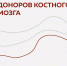 Донорство костного мозга – безопасно и благородно - Газета Красное Знамя