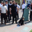 В Избербаше  продолжается голосование: глава города Расул Бакаев  оценил праздничную атмосферу на  избирательных участках - Избербаш-инфо