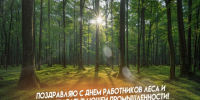 20 сентября – День работников леса и лесоперерабатывающей промышленности. - Город Коряжма
