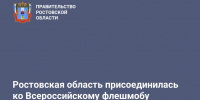 Ростовская область присоединилась ко Всероссийскому флешмобу #НеТотЗаработок - Газета Красносулинский вестник