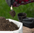Closeup picture of  Gardener's Hands Planting Plant - Газета Восход