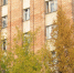 В Чепецке женщина самовольно заняла муниципальную квартиру - Chepetsk.ru