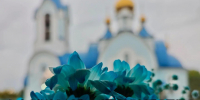 Афиша мероприятий в Сосновоборском округе на 23-27 сентября - Газета Рабочий