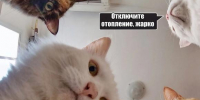 С завтрашнего дня в Барнауле включат отопление - Barneos22.ru