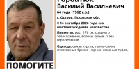 Волонтеры ищут пропавшего с 14 сентября в Острове 64-летнего мужчину - Pln-Pskov.Ru