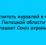 Союз охраны птиц приглашает жителей Липецкой области поучаствовать в подсчёте журавлей в небе - Народное слово