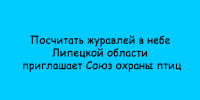 Союз охраны птиц приглашает жителей Липецкой области поучаствовать в подсчёте журавлей в небе - Народное слово