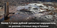Более 1,3 млн рублей заплатил нарушитель за разлив сточных вод в Казани - Министерство экологии