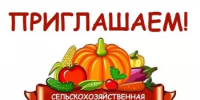 Сельскохозяйственные ярмарки в Салавате - Администрация г. Салават