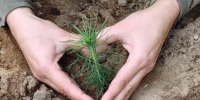 Иркутский филиал Рослесозащиты принял участие в акции «Сохраним лес» - Рослесозащита Иркутской области