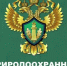 Природоохранная прокуратура информирует - Бугурусланский район