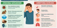Внимание, жители Агидели! Зарегистрирован случай туляремии - Город Агидель