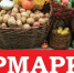 Сезонная ярмарка - Галичский муниципальный район
